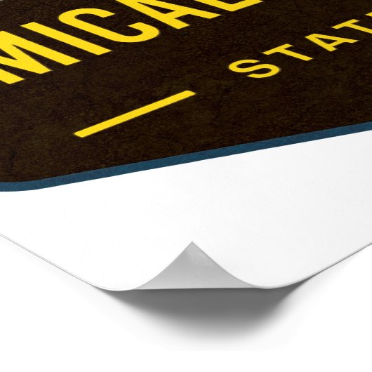 Amicalola Falls Poster (Hoek)