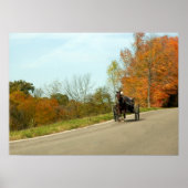 Amich Buggy Print (Voorkant)