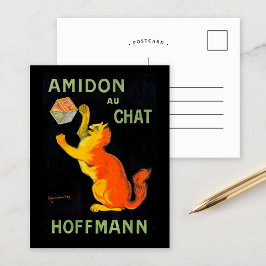 Amidon Au Chat | Leonetto Cappiello Briefkaart