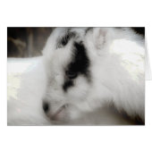 Amigo Goat Kind zwart en wit (Voorkant Horizontaal)