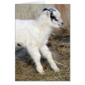 Amigo het Kind La Mancha (Voorkant)