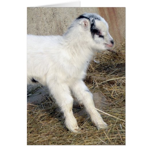 Amigo het Kind La Mancha (Voorkant)