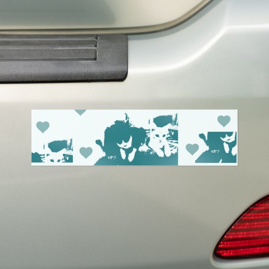 Amigos Felinos. Bumpersticker (Op auto)
