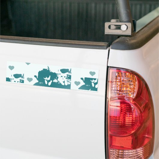 Amigos Felinos. Bumpersticker (Op Truck)