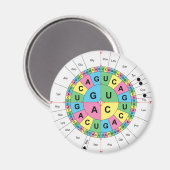 Amino-zuur basissequentietabel magneet (Voorkant / Achterkant)