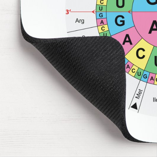 Amino-zuur basissequentietabel muismat (Hoek)