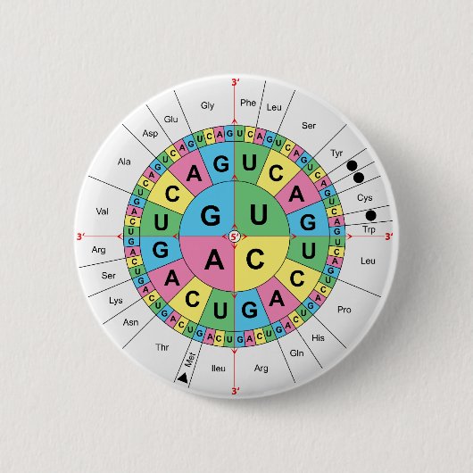 Amino-zuur basissequentietabel ronde button 5,7 cm (Voorkant)
