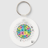 Amino-zuur basissequentietabel sleutelhanger (Voorkant)