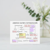 Amino-zuurstofschema Briefkaart (Staand voorkant)