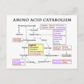Amino-zuurstofschema Briefkaart (Voorkant)