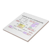 Amino-zuurstofschema Tegeltje (Zijkant)