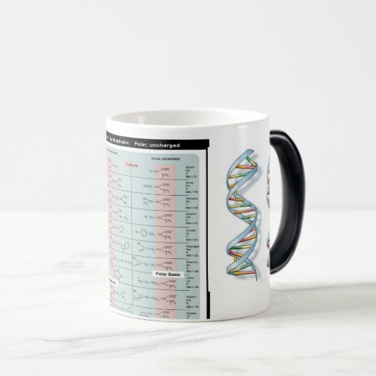 Aminozuren mok (Voorkant rechts)