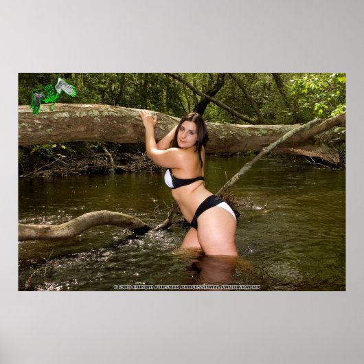 Amira Angel's Animal Shelter Fundraiser Poster (Voorkant)