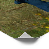 Amish Boerderij Life Poster (Hoek)