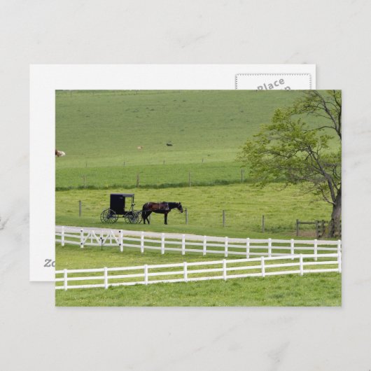 Amish boerderij met paard en buggy bij Berlijn, Briefkaart (Voorkant / Achterkant)
