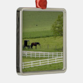 Amish boerderij met paard en buggy bij Berlijn, Metalen Ornament (Rechts)