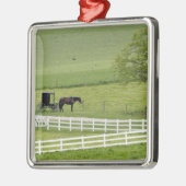 Amish boerderij met paard en buggy bij Berlijn, Metalen Ornament (Links)