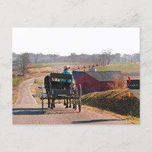 Amish Boy Drift Open Buggy Briefkaart