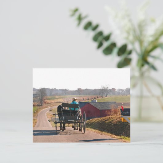 Amish Boy Drift Open Buggy Briefkaart (Staand voorkant)