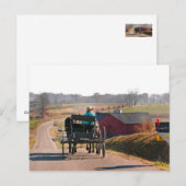 Amish Boy Drift Open Buggy Briefkaart (Voorkant / Achterkant)