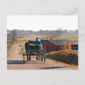 Amish Boy Drift Open Buggy Briefkaart (Voorkant)