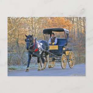 Amish Boy rijdt in huwelijkswagen Briefkaart
