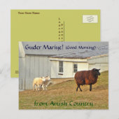 Amish Briefkaart Schapen Boerderij. Een naam toevo (Voorkant / Achterkant)