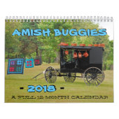 Amish Buggies 2018 Kalender (Hoes)