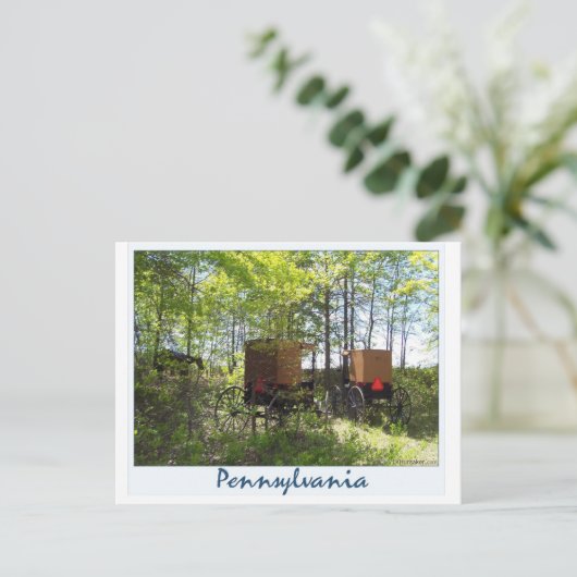 Amish Buggies Briefkaart (Staand voorkant)