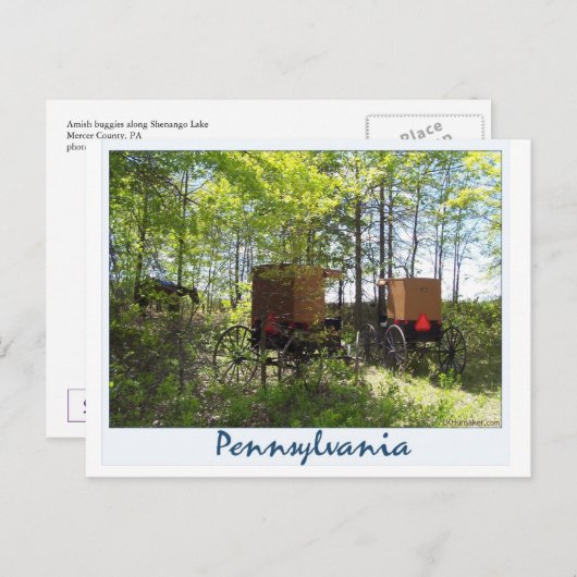 Amish Buggies Briefkaart (Voorkant / Achterkant)