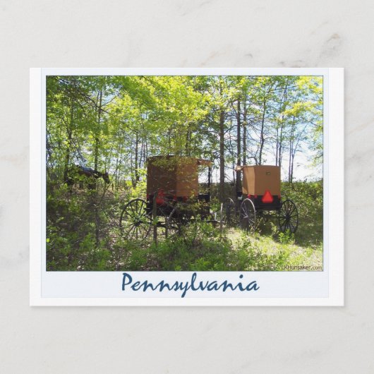 Amish Buggies Briefkaart (Voorkant)
