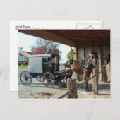 Amish Buggy, 1 Briefkaart (Voorkant / Achterkant)