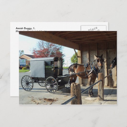 Amish Buggy, 1 Briefkaart (Voorkant / Achterkant)