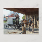 Amish Buggy, 1 Briefkaart (Voorkant)