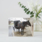 Amish Buggy 2 Briefkaart (Staand voorkant)