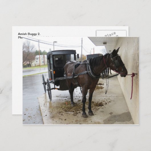 Amish Buggy 2 Briefkaart (Voorkant / Achterkant)