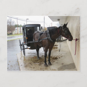 Amish Buggy 2 Briefkaart
