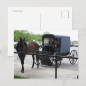 Amish Buggy Briefkaart (Voorkant / Achterkant)
