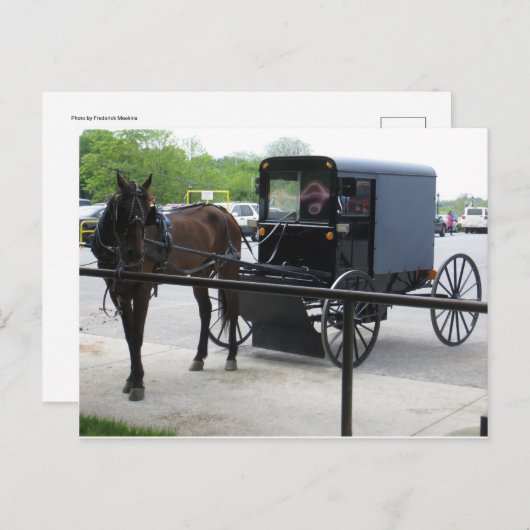 Amish Buggy Briefkaart (Voorkant / Achterkant)