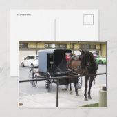 Amish Buggy Briefkaart (Voorkant / Achterkant)