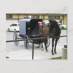Amish Buggy Briefkaart