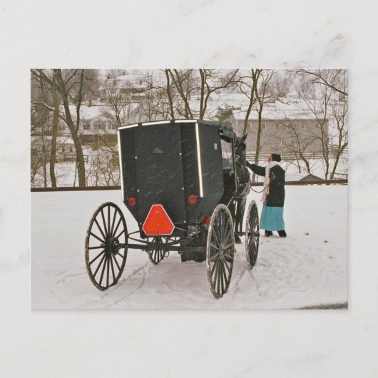 Amish Buggy-Briefkaart Briefkaart (Voorkant)
