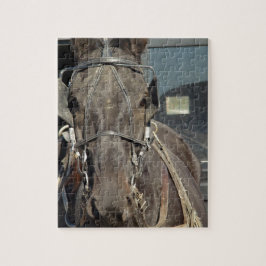 Amish Buggy Horse Legpuzzel