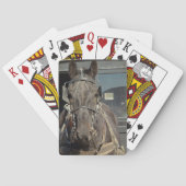 Amish Buggy Horse Pokerkaarten (Achterkant)