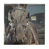 Amish Buggy Horse Tegeltje (Voorkant)