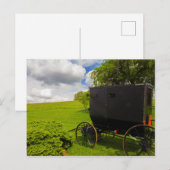 Amish Buggy in Hillside Boerderij Briefkaart (Voorkant / Achterkant)