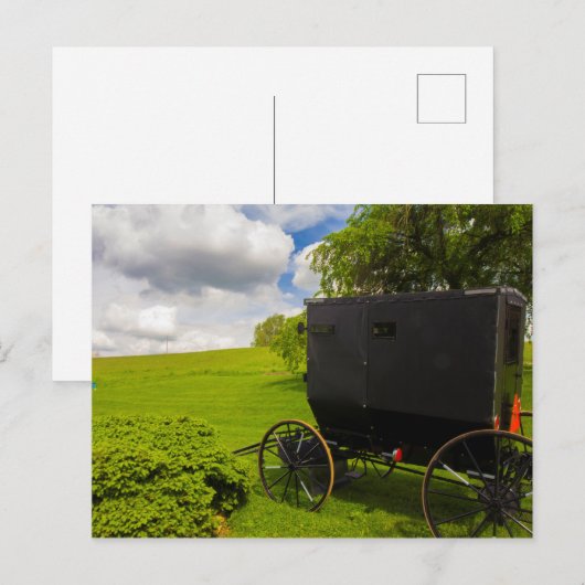 Amish Buggy in Hillside Boerderij Briefkaart (Voorkant / Achterkant)