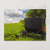 Amish Buggy in Hillside Boerderij Briefkaart (Voorkant)