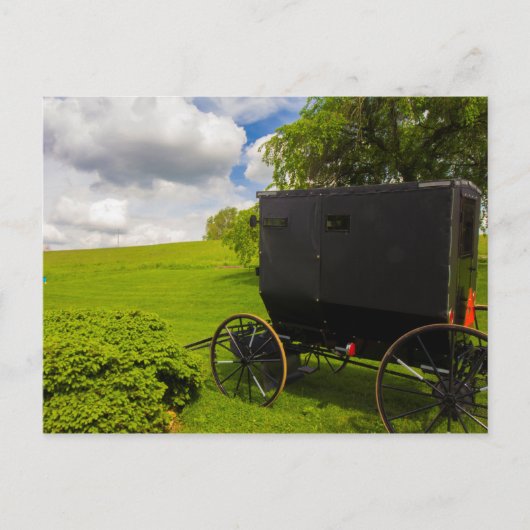 Amish Buggy in Hillside Boerderij Briefkaart (Voorkant)