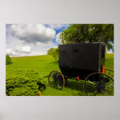 Amish Buggy in Hillside Boerderij Poster (Voorkant)